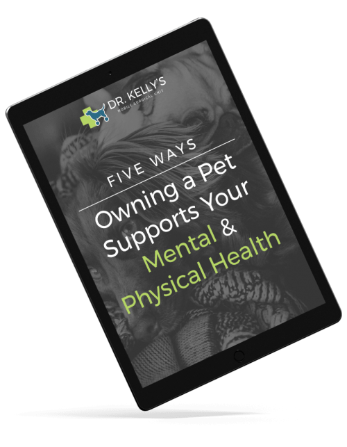 iPad_4-compressor PDF Preview of Five Ways Owning a Pet Supports Your Mental and Physical Health