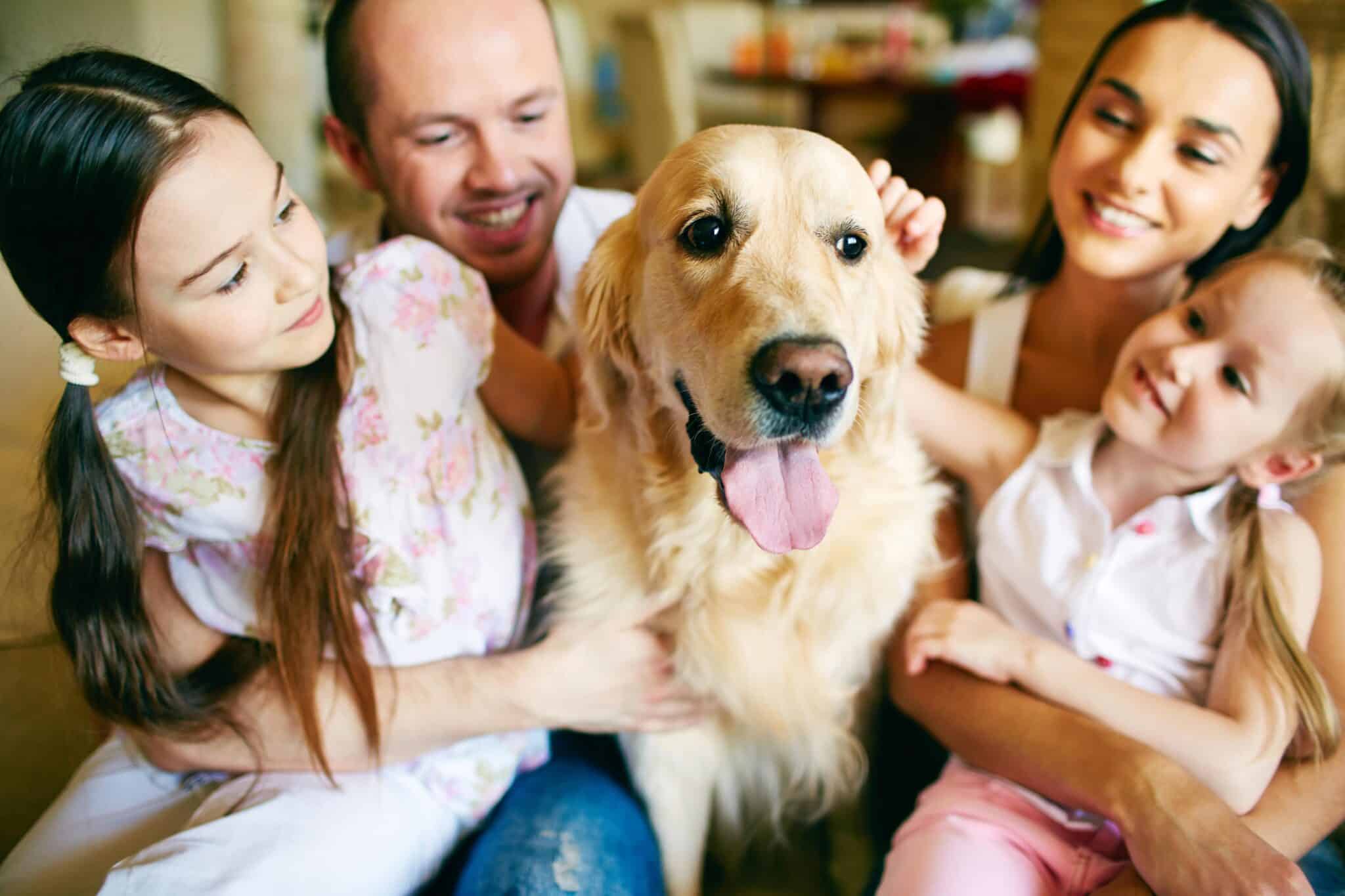 Golden retriever sitting in the middle of family.