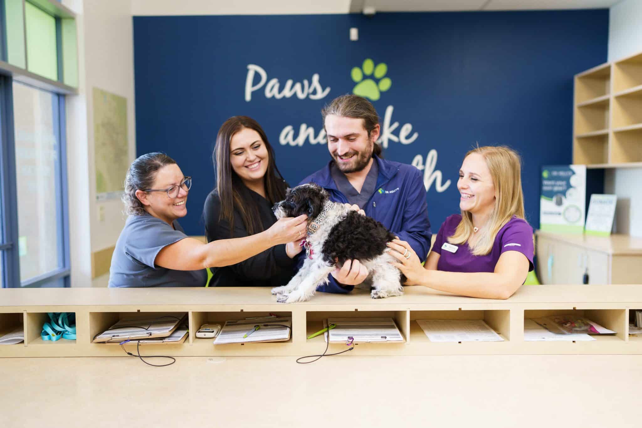 four vet techs stand at reception desk with black and white dog