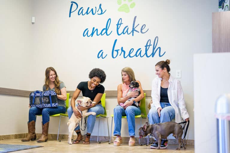 Four individuals wait in the lobby of Dr. Kelly's Surgical Unit with their cats and dogs