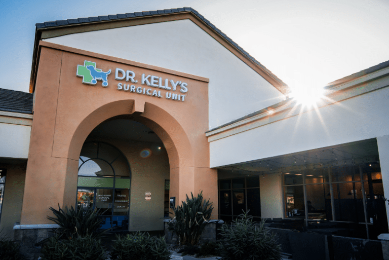 Dr. Kelly's Surgical Unit Phoenix Clinic