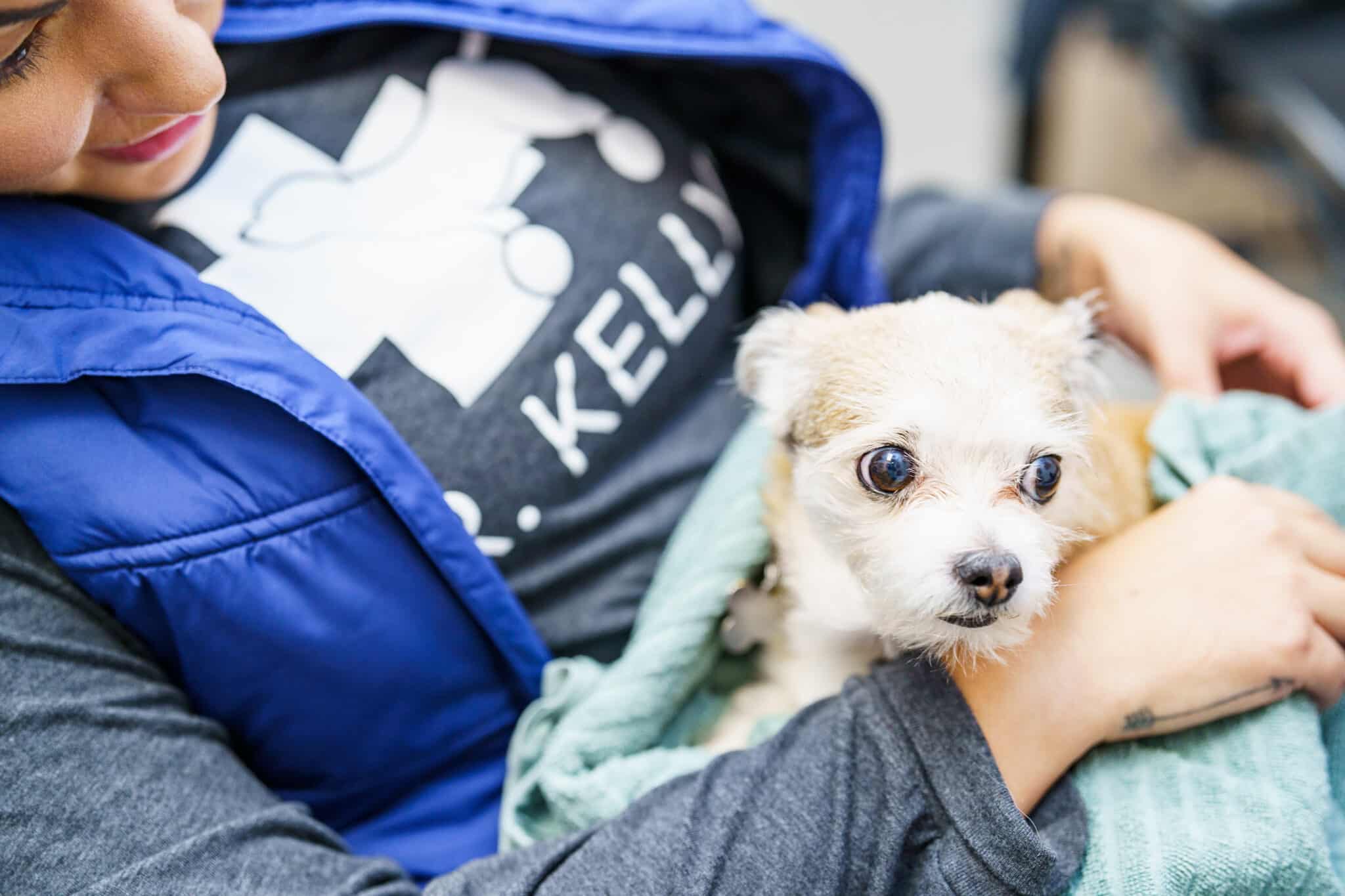 Close-up of a veterinary team member in a Dr. Kelly’s shirt gently holding a small, wide-eyed dog wrapped in a green blanket.