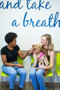 Two women and a dog share a joyful moment in the waiting area at Dr. Kelly’s Surgical Unit, emphasizing the clinic’s friendly, clean atmosphere.