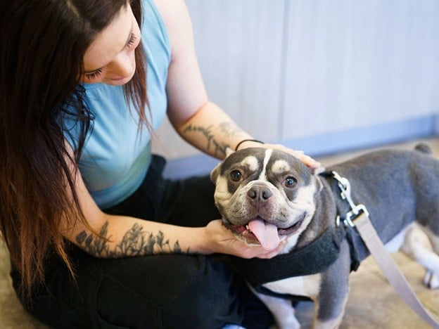 Dr. Kelly's Surigcal Unit Caring for Pets with help from Care Credit