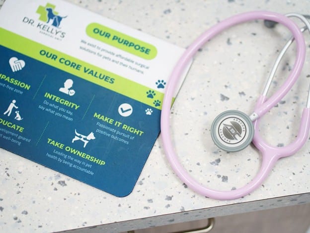 Dr. Kelly's Purpose and Core Values